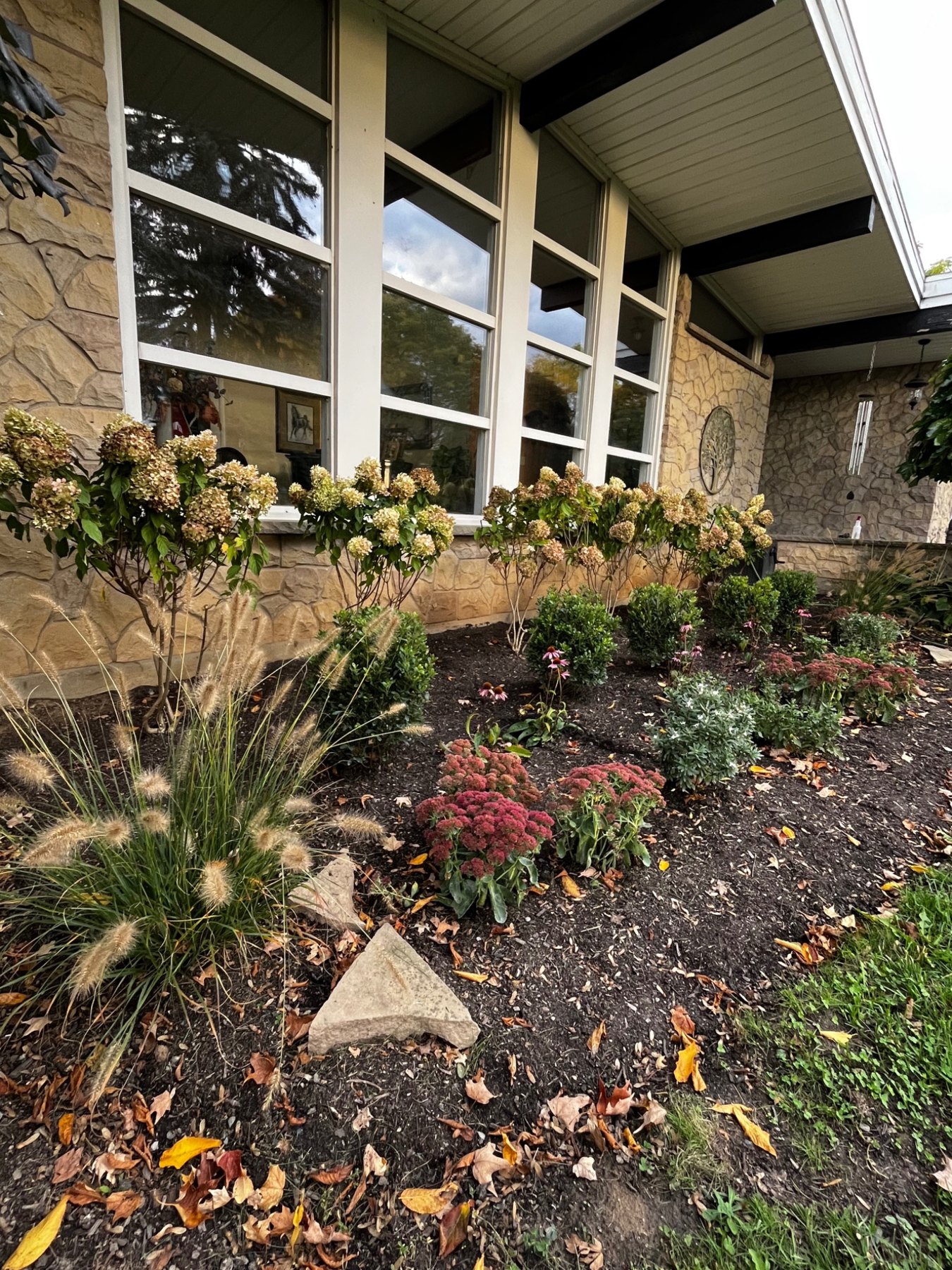 After: revived garden bed with hydrangeas, evergreen shrubs, ornamental grasses and flowering perennials