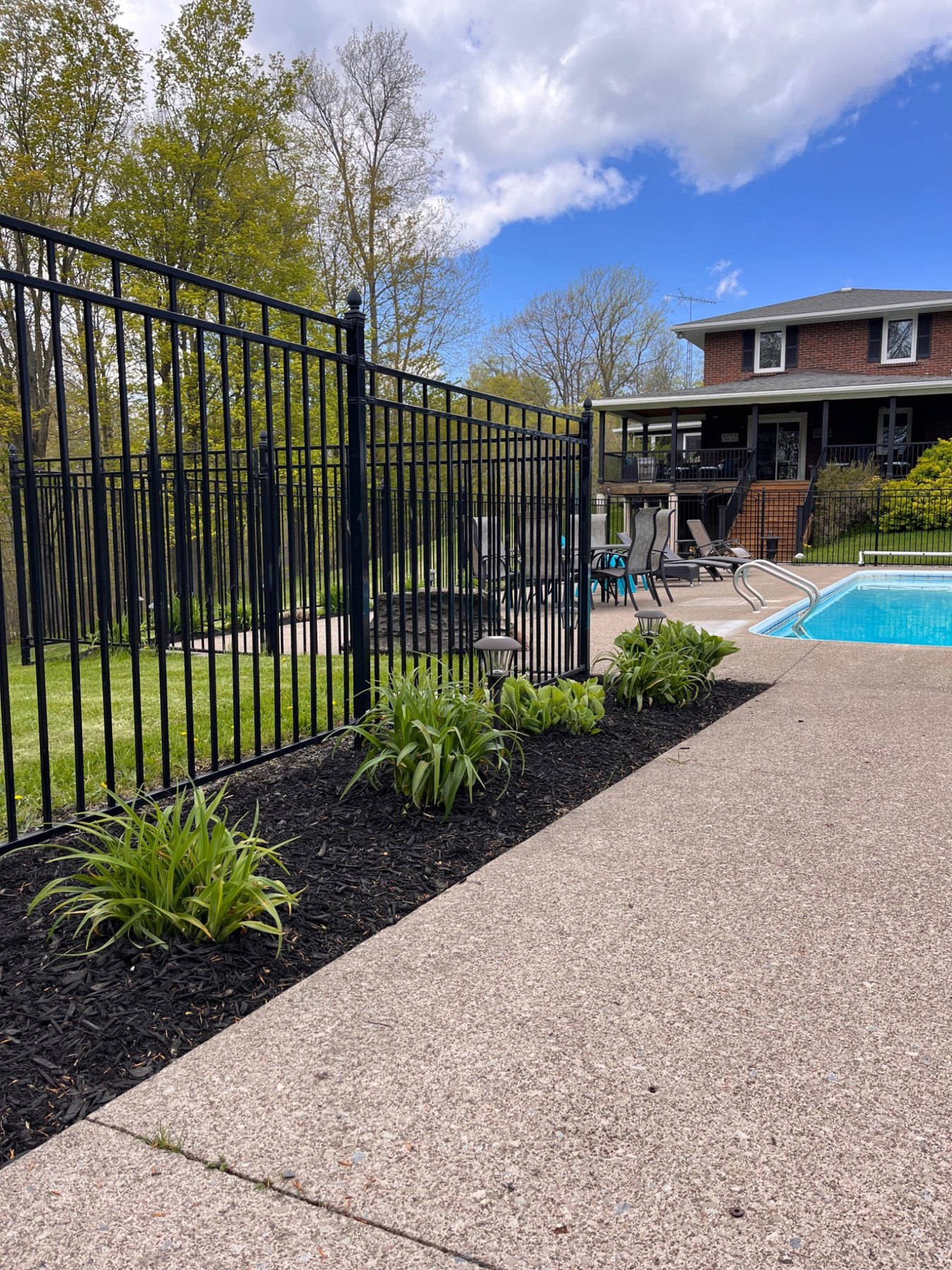 Garden bed with fresh mulch and established planting