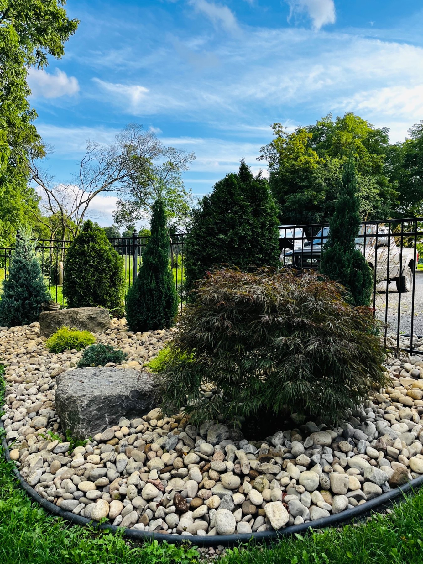 After: refreshed river-stone garden with a Japanese maple and layered evergreens