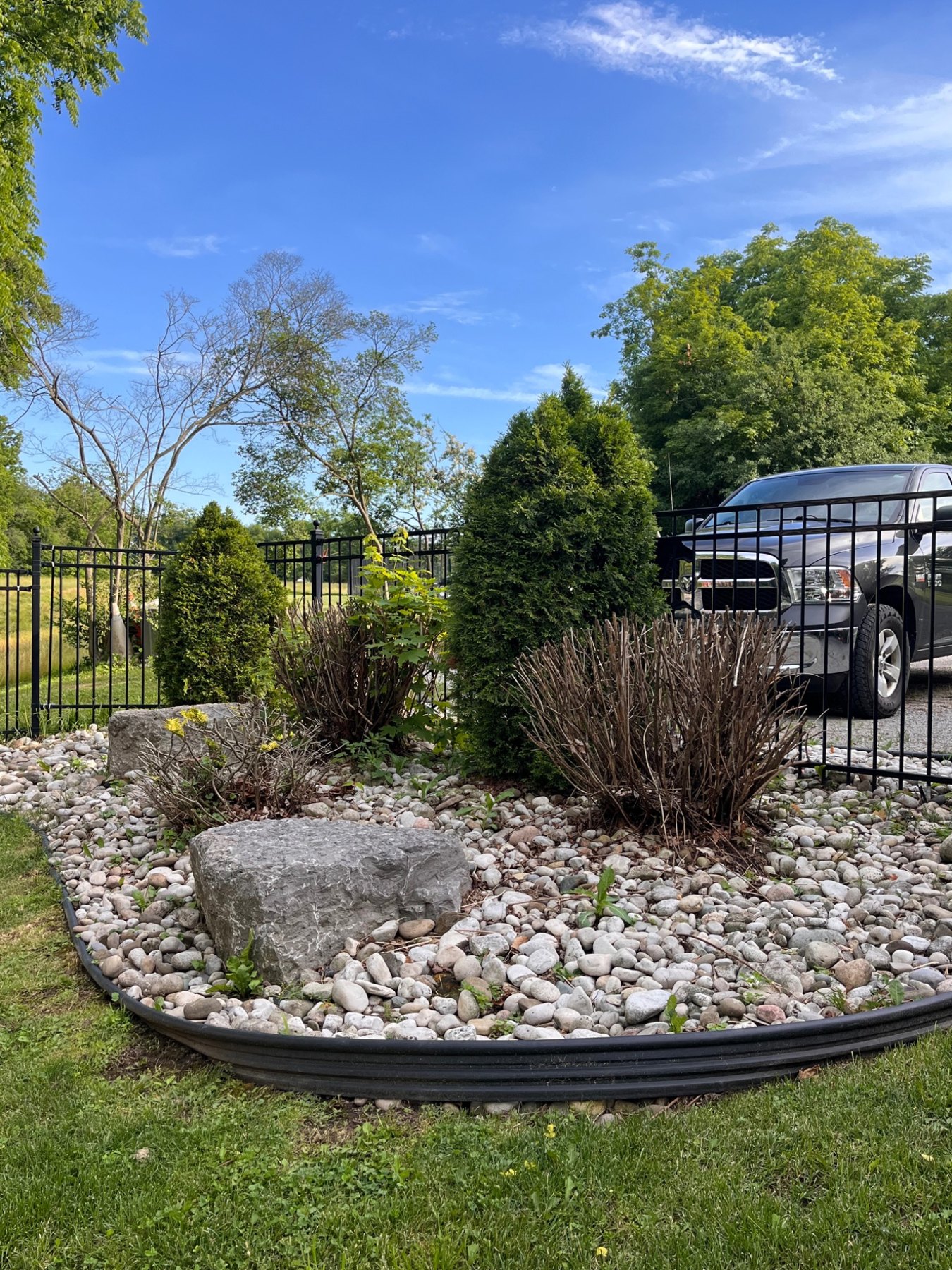 Before: river-stone garden with sparse shrubs beside the fence