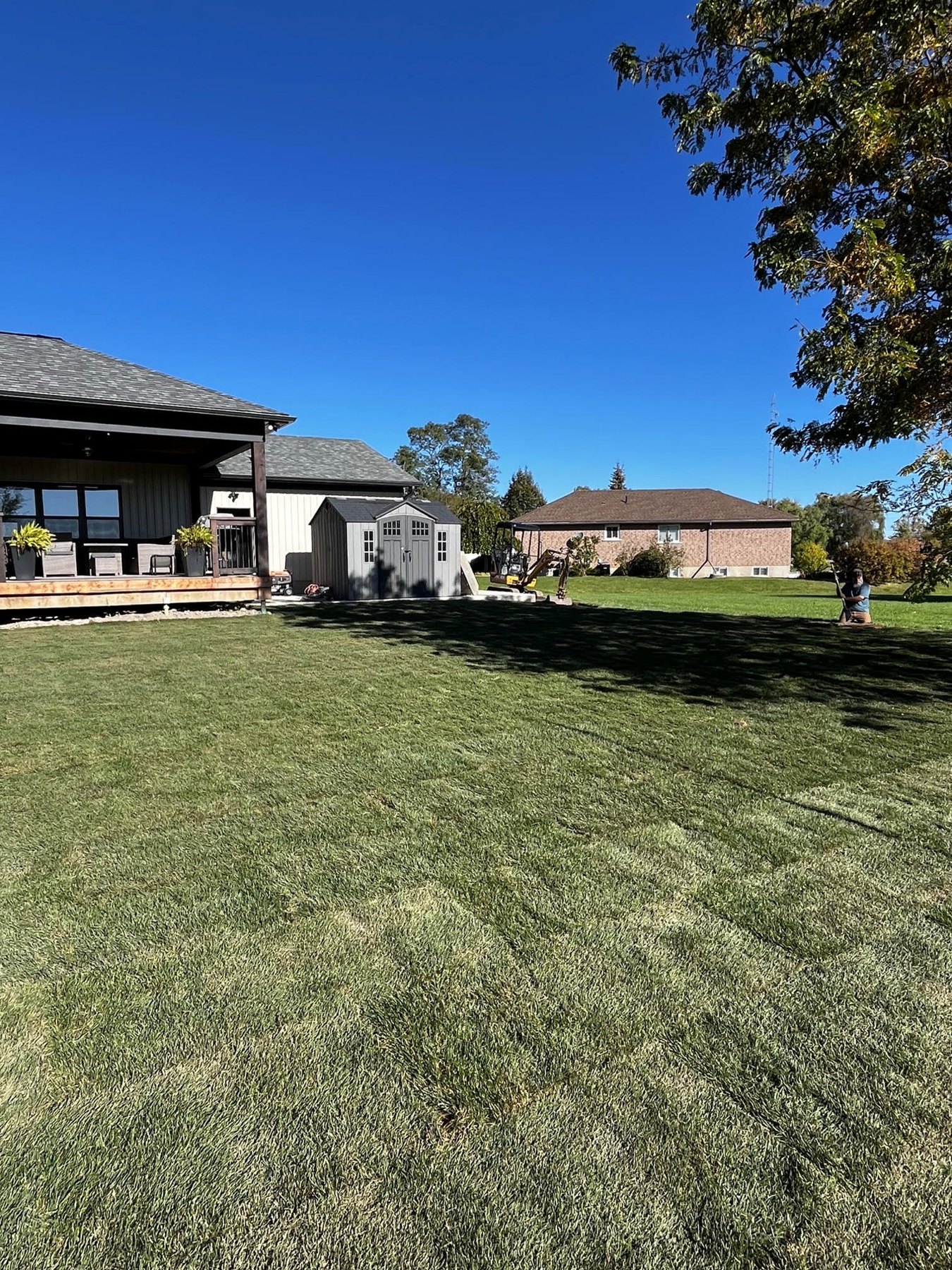 Freshly installed sod covering the renovated yard
