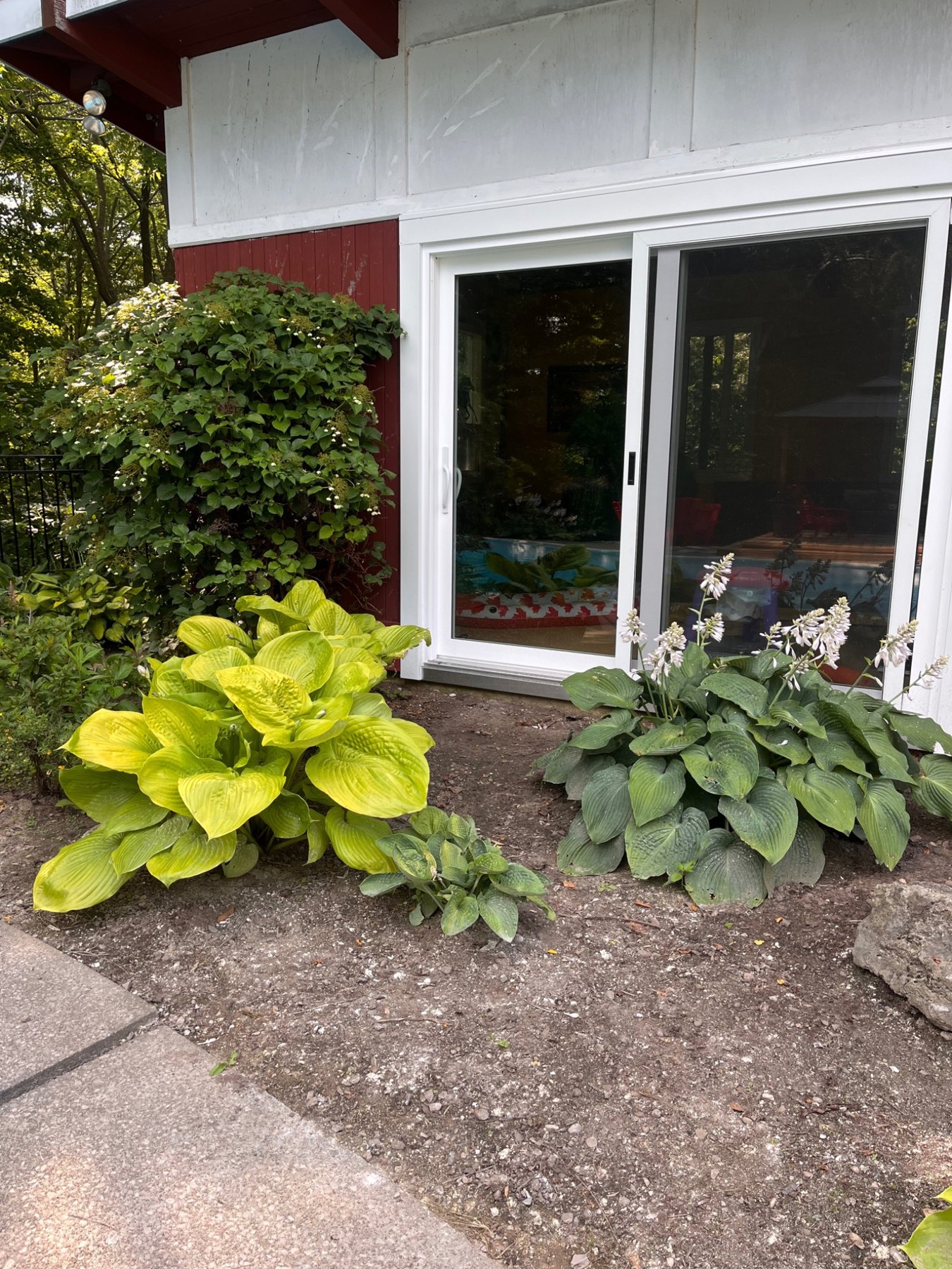 Before: bare soil and established hostas beside the sliding door